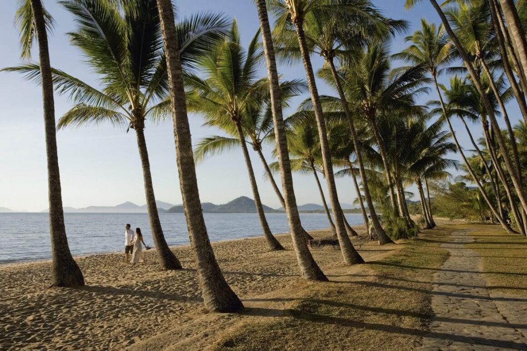 Palm tree and beach