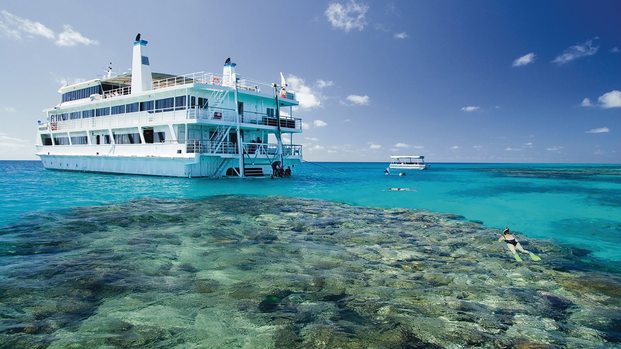 Coral Expeditions II
