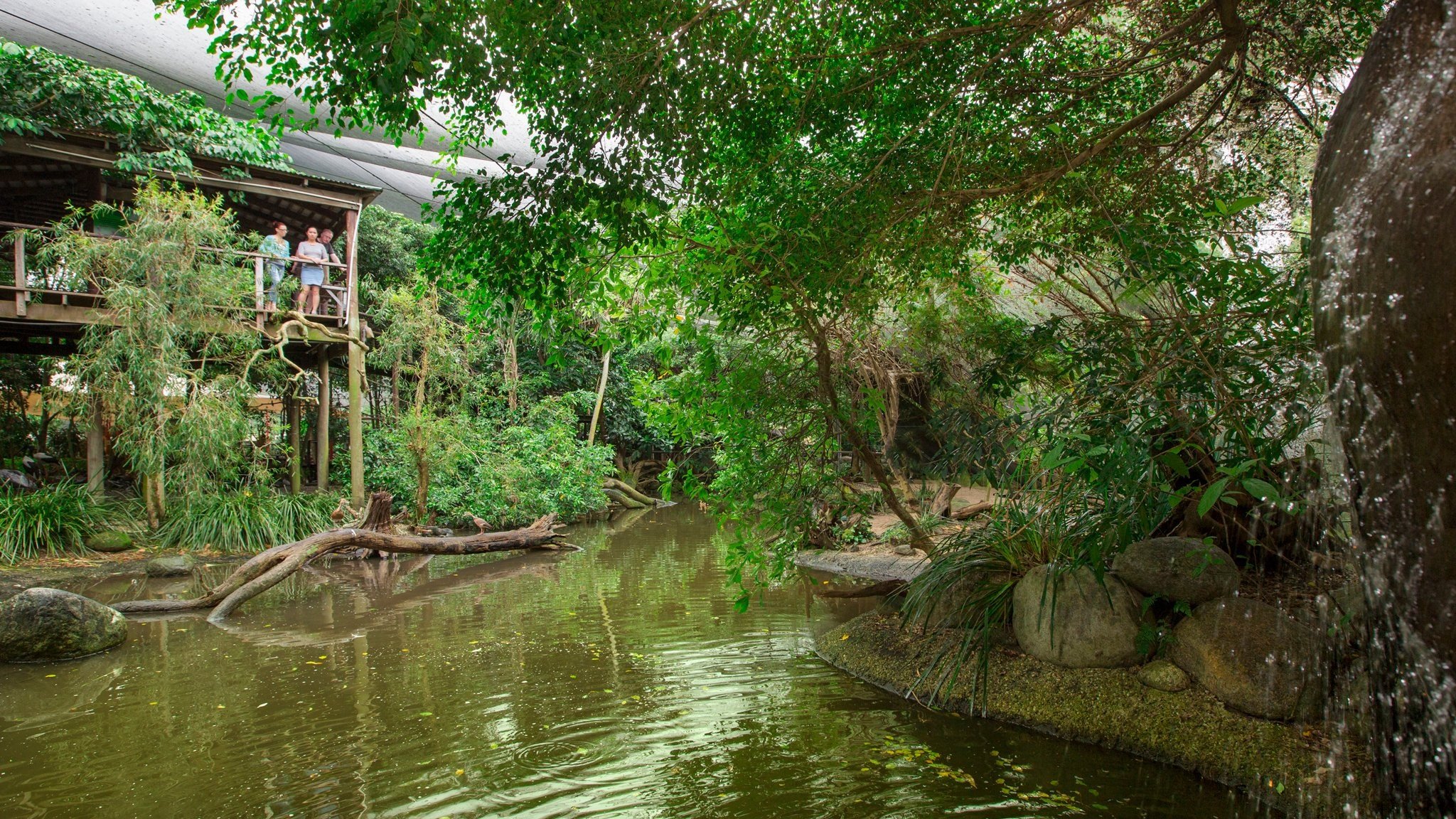 Wildlife Habitat - Tropical North QLD