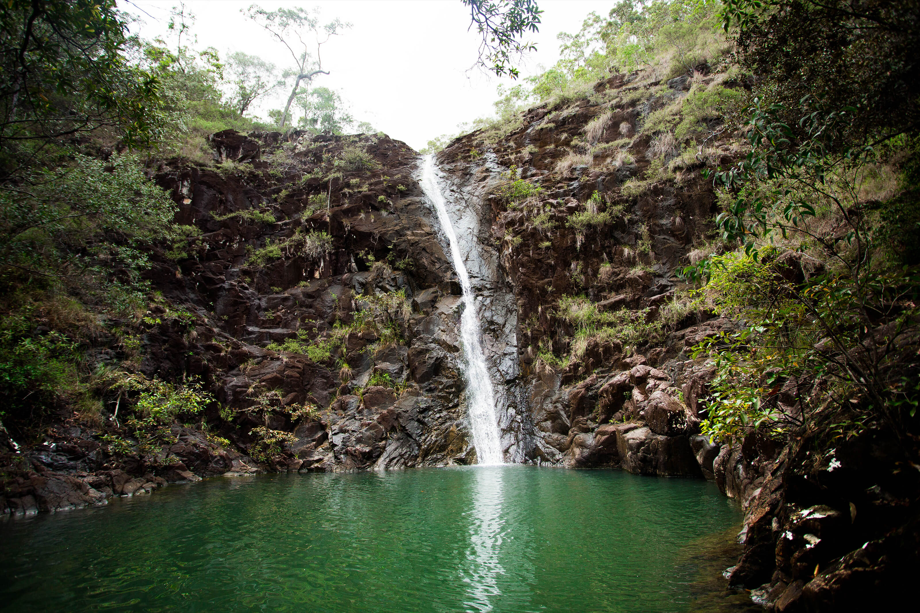 12 other things to do when visiting Cardwell Spa Pool 12 other things to do when visiting Cardwell Spa Pool