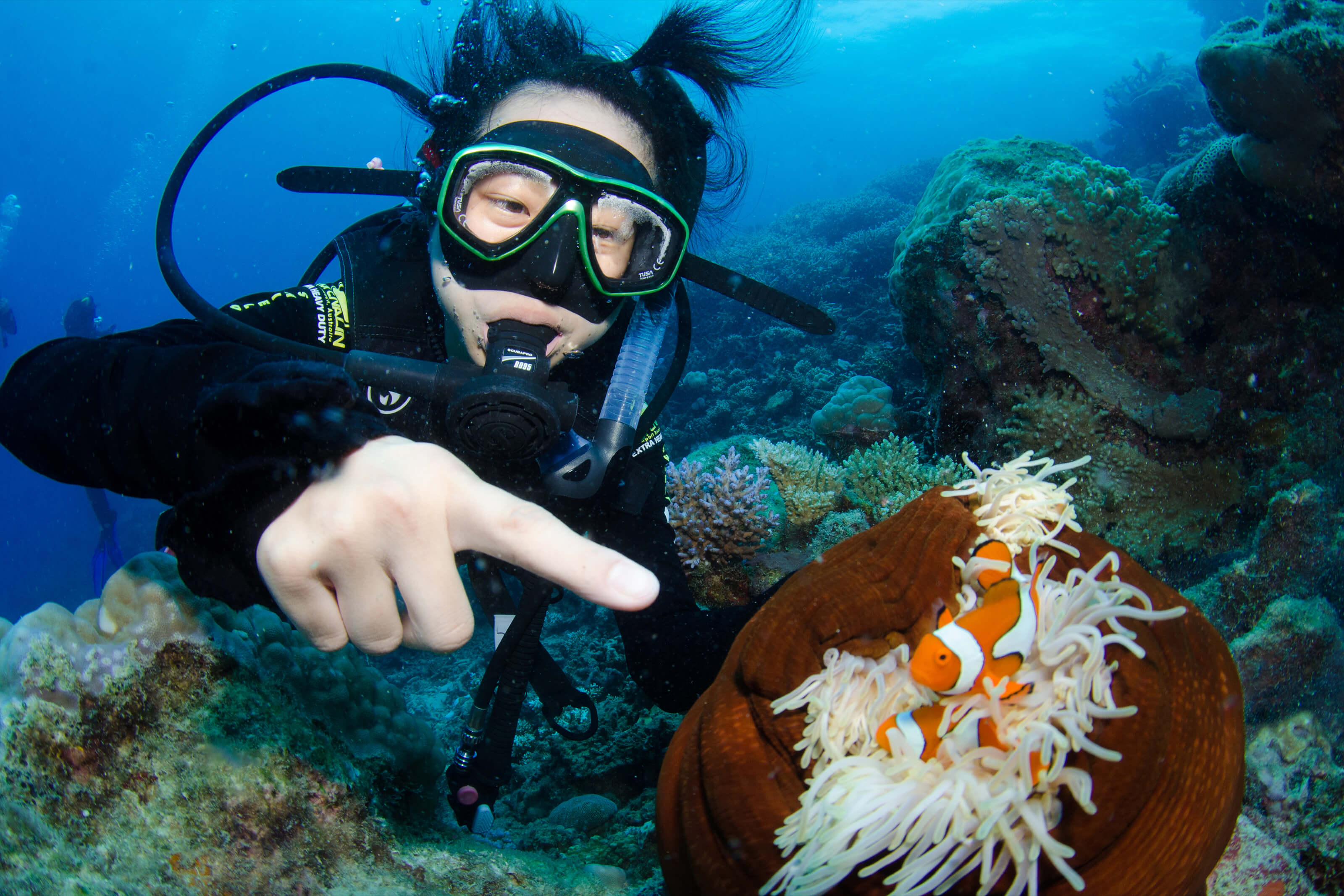divers den great barrier reef scuba diving