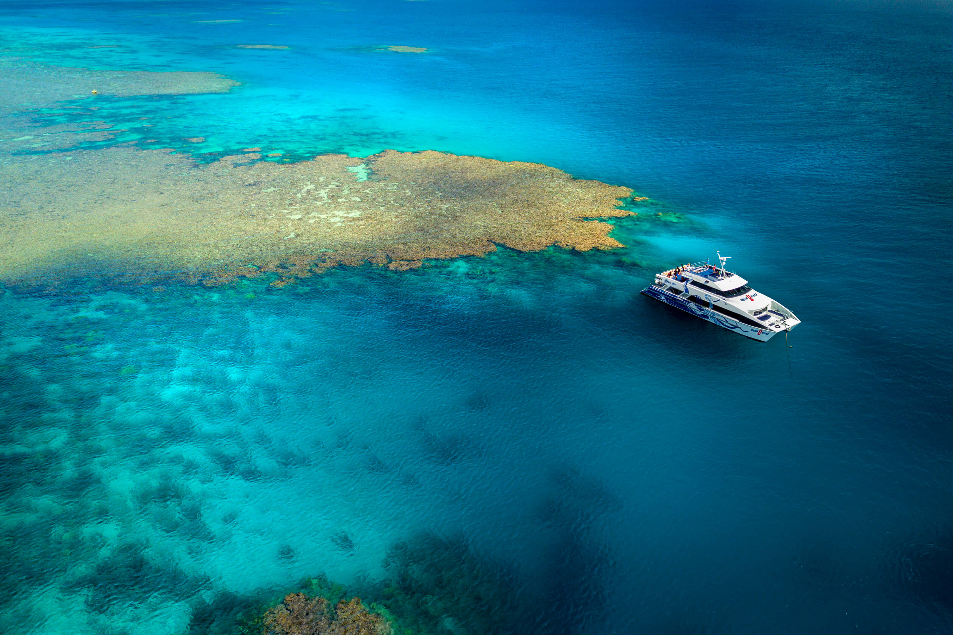 divers den reef site on the great barrier reef