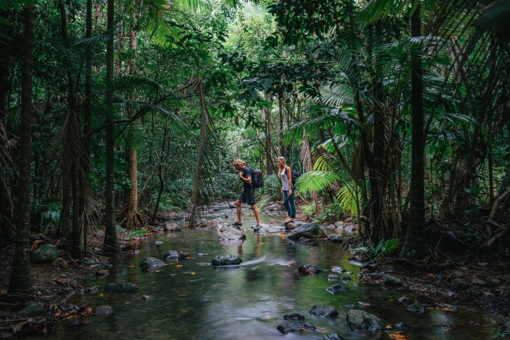 hiking in the Daintree Rainforest