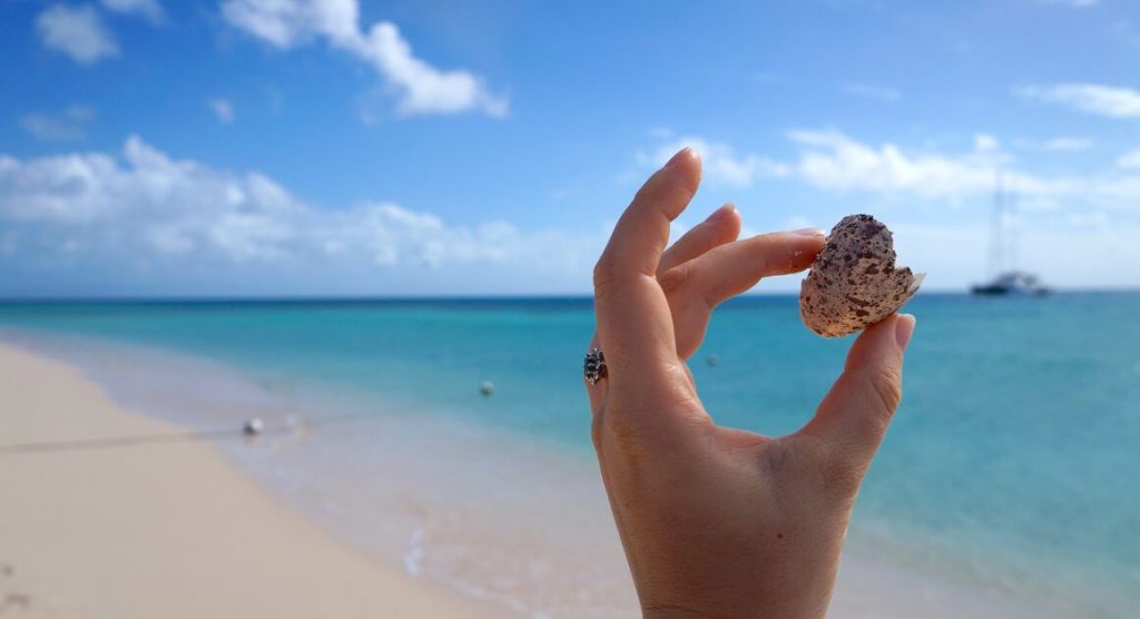 Shell and beach