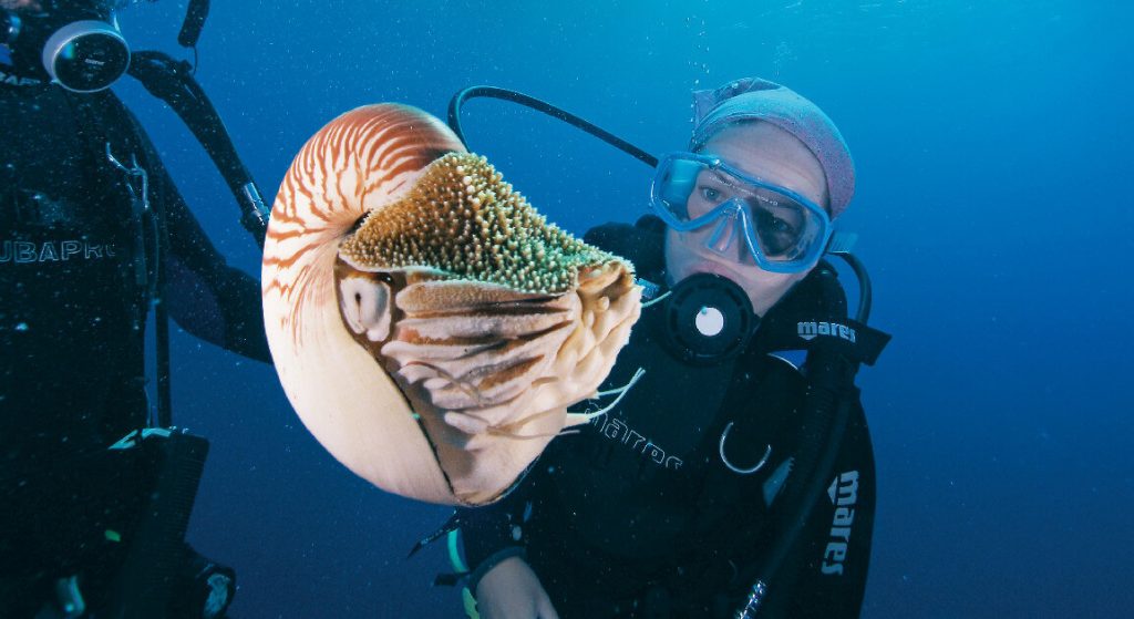 Snorkling