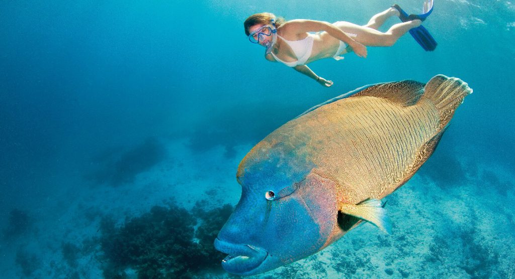Swimming with fish