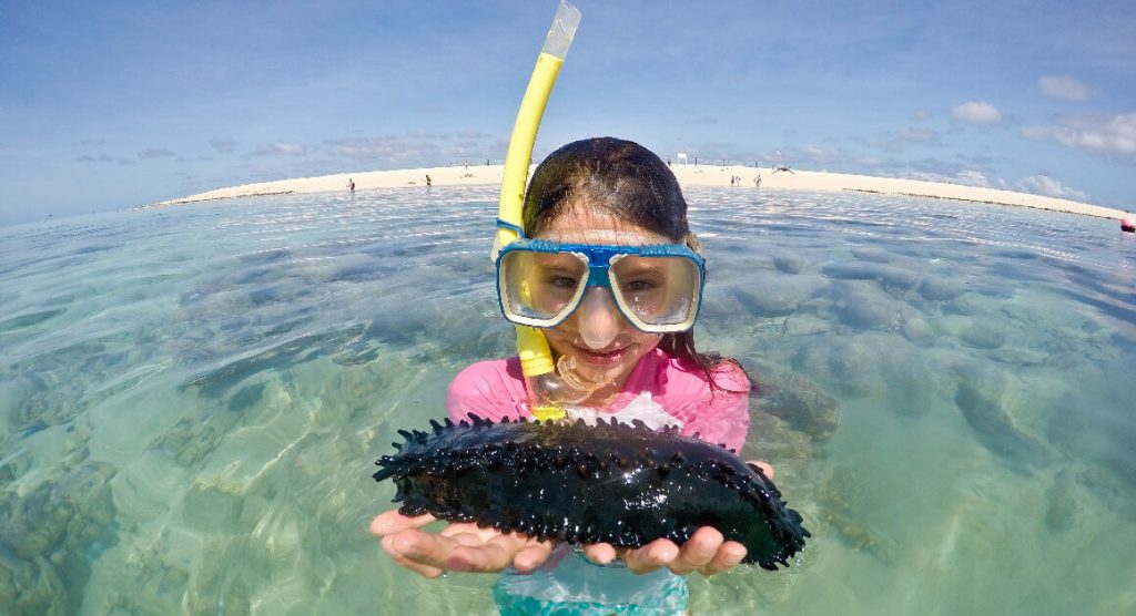 Snorkling and reef