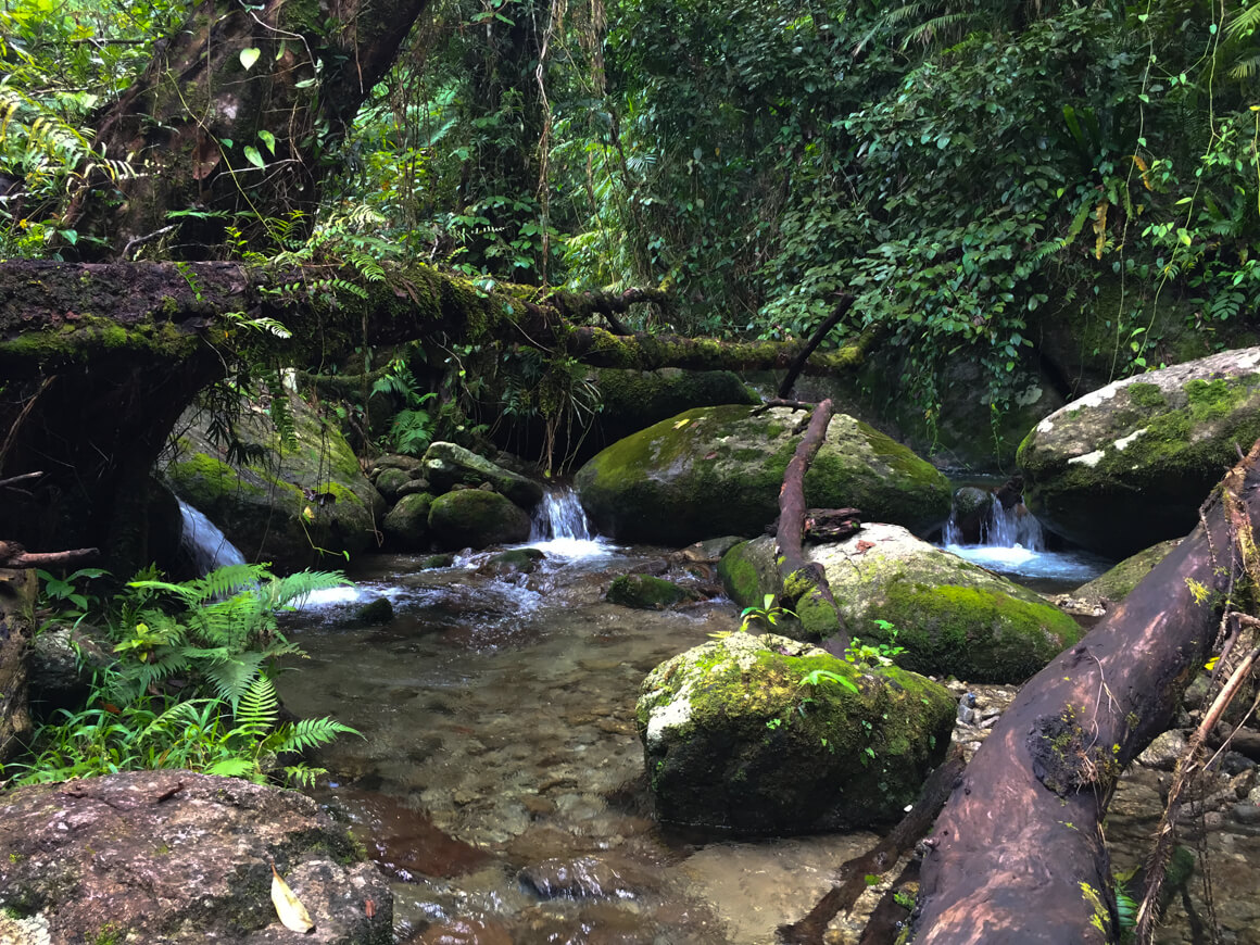 goldfields trail babinda boulders