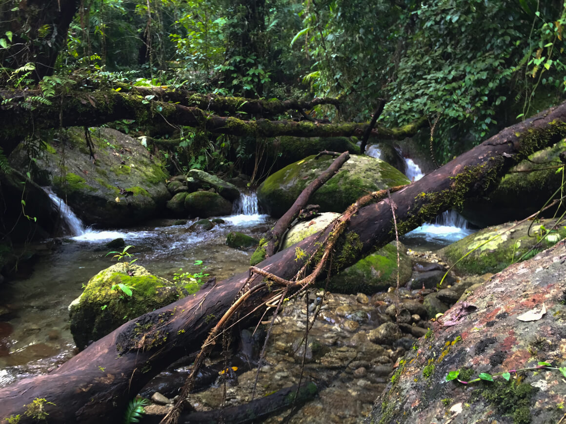 goldfields trail babinda boulders