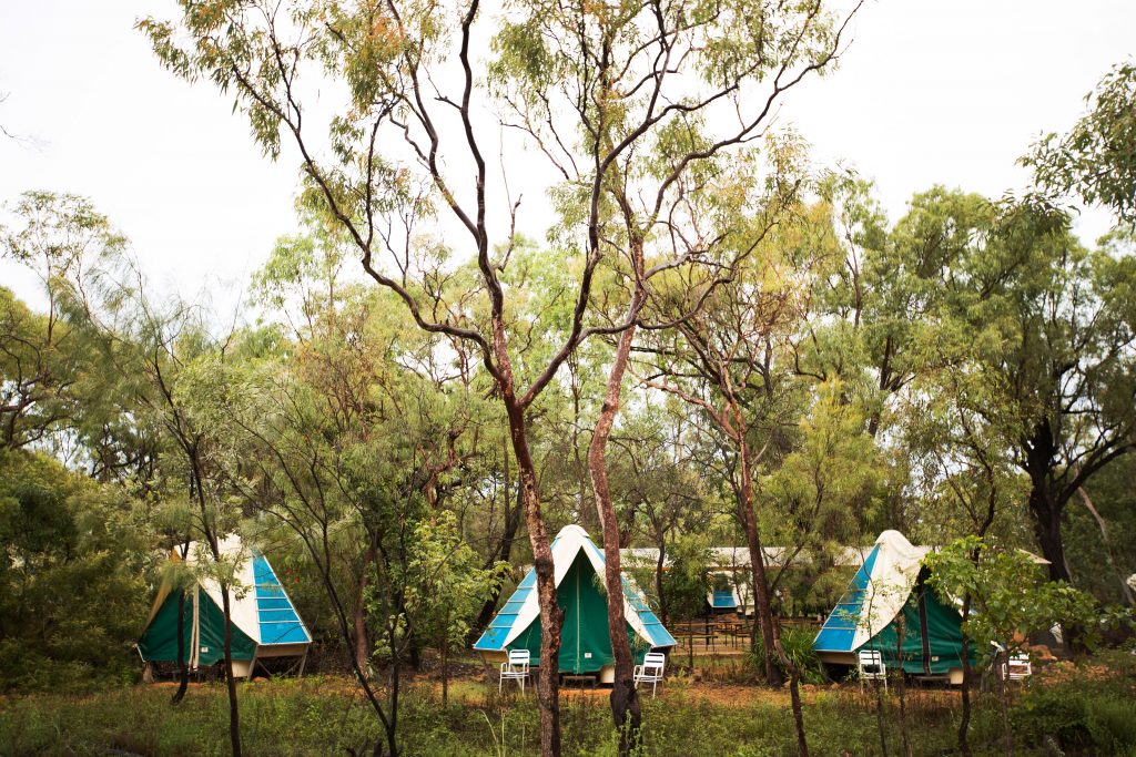 swag tent village at undara experience