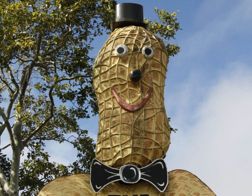big peanut atherton tablelands