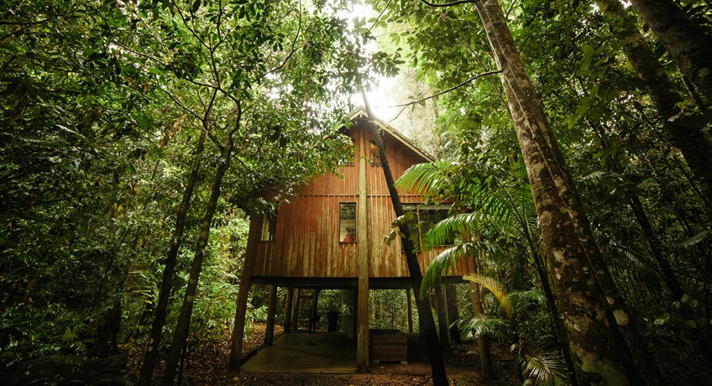 private cabin in the rainforest at The Canopy Treehouses