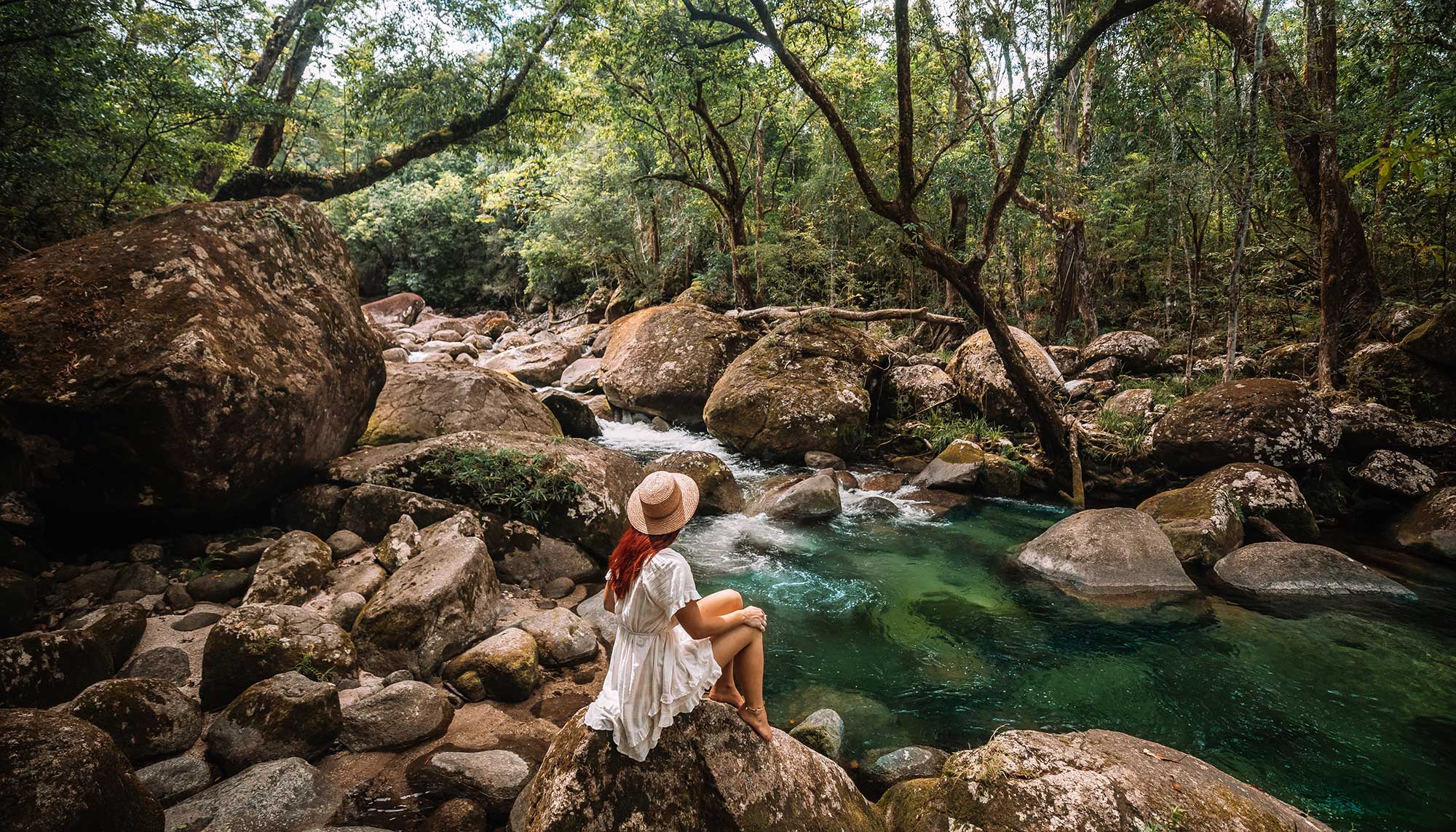 50 must do day trips from cairns