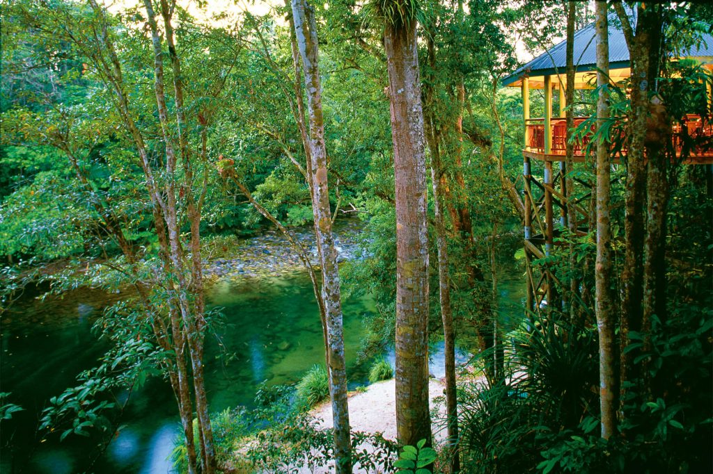 Silky Oaks Lodge Restaurant