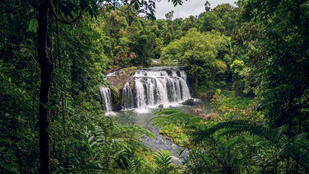Wallicher Falls