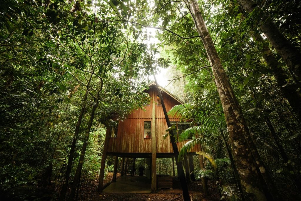canopy treehouse