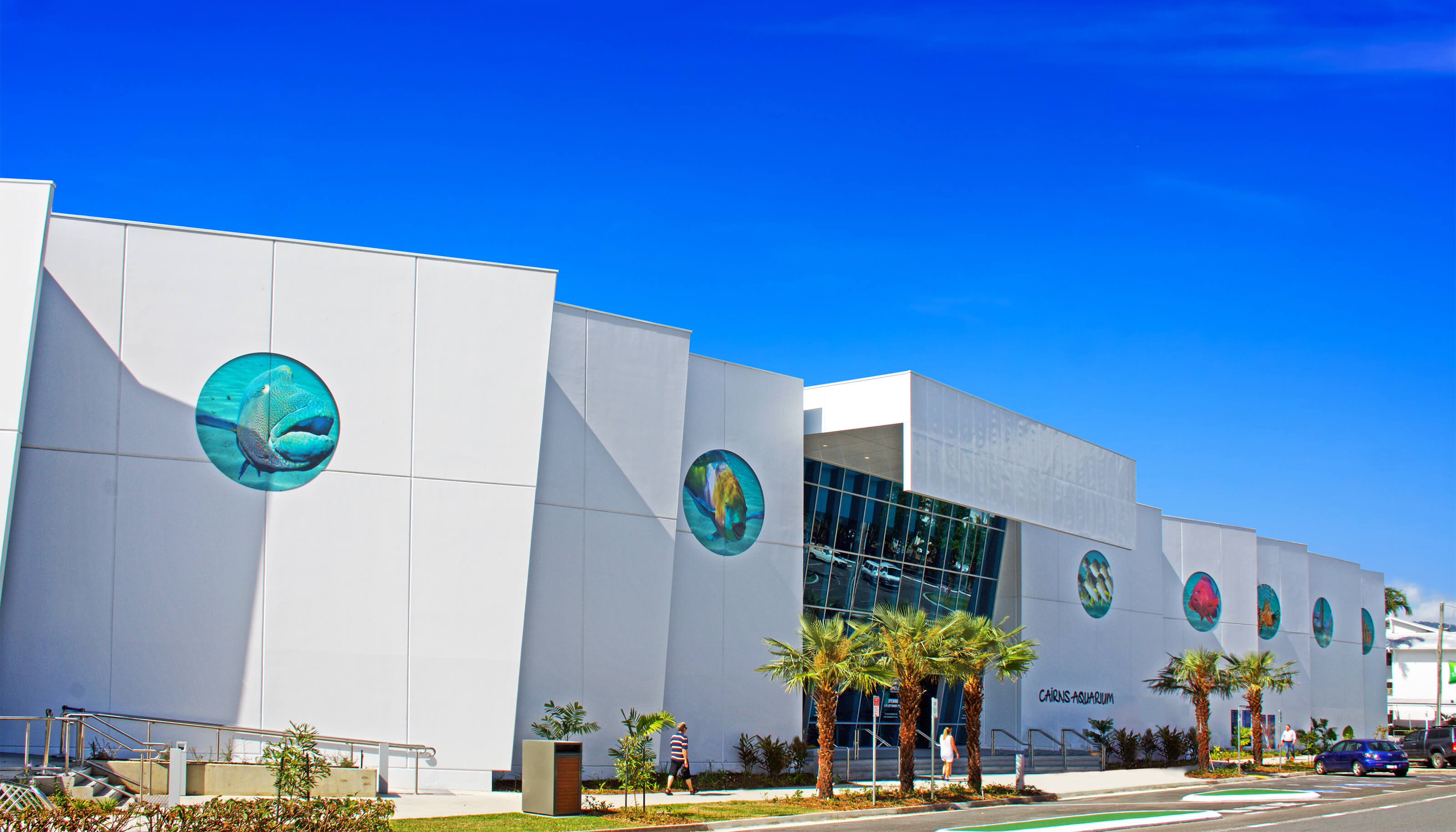 Visit The Cairns Aquarium Cairns & Great Barrier Reef