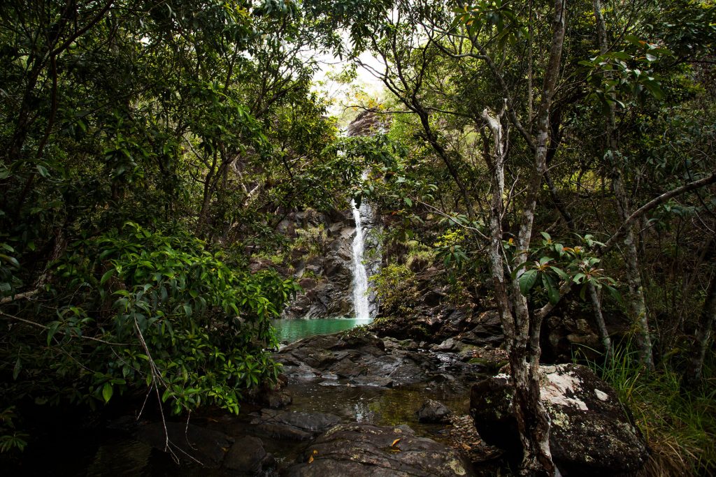 Attie Creek Falls