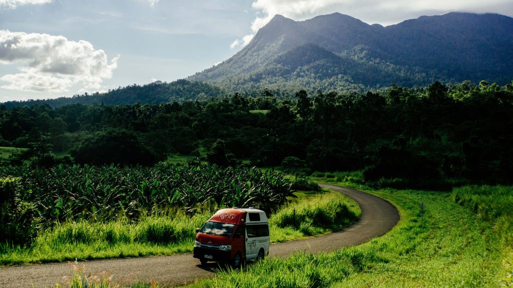 View of Mount Bartle Frere