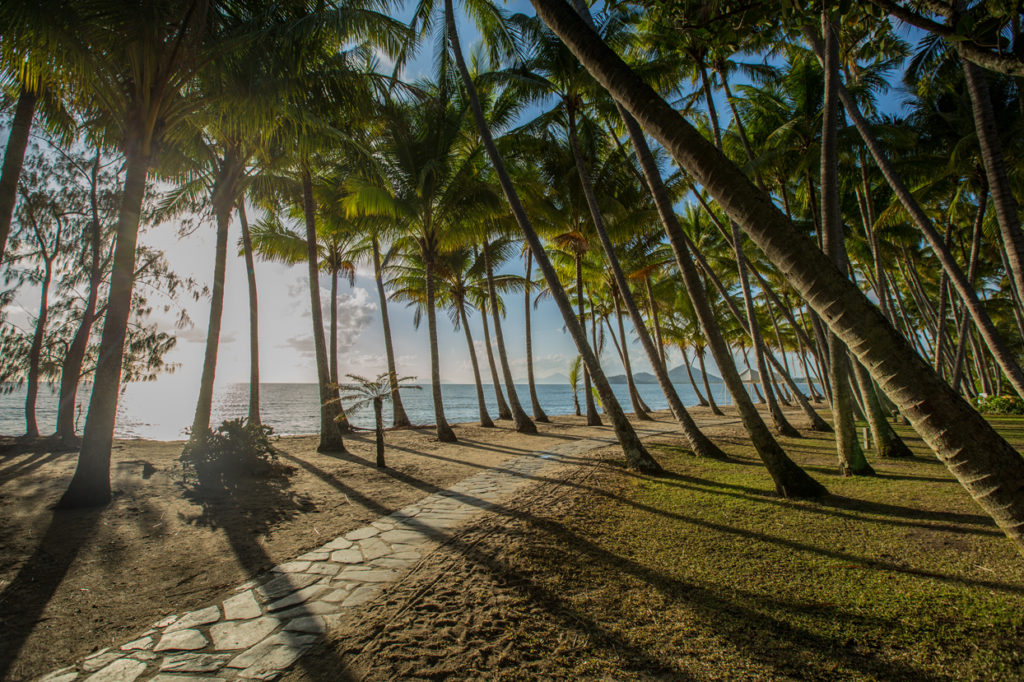 Palm cove beach