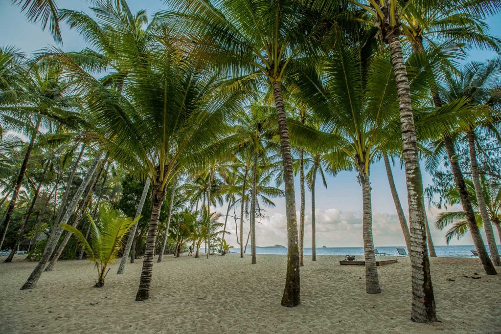 beachfront at kewarre beach resort