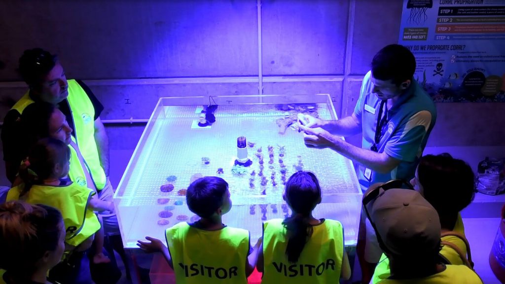 Cairns Aquarium