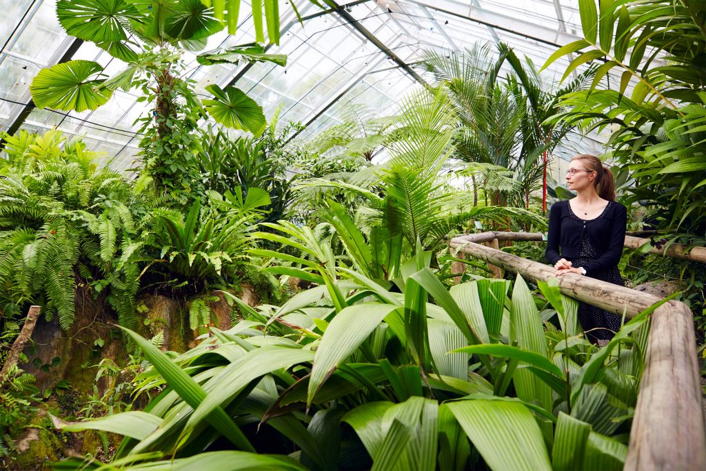 Australian Butterfly Sanctuary