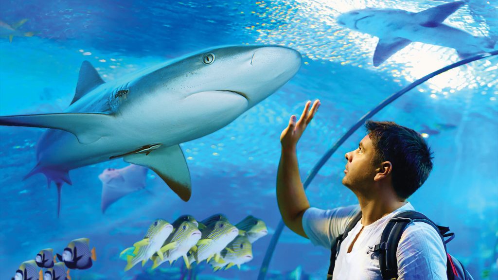 Cairns Aquarium
