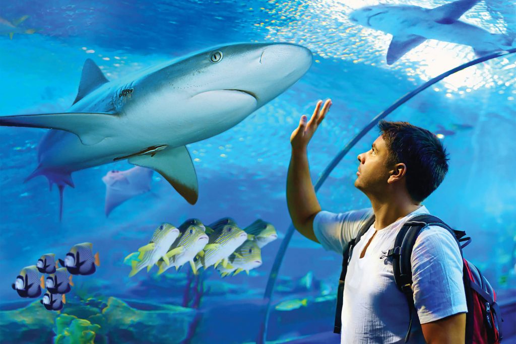 Cairns Aquarium