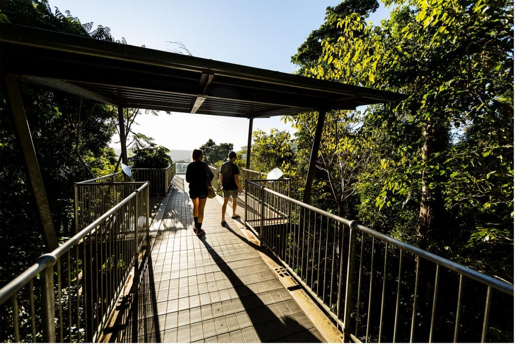 Mamu Tropical Skywalk