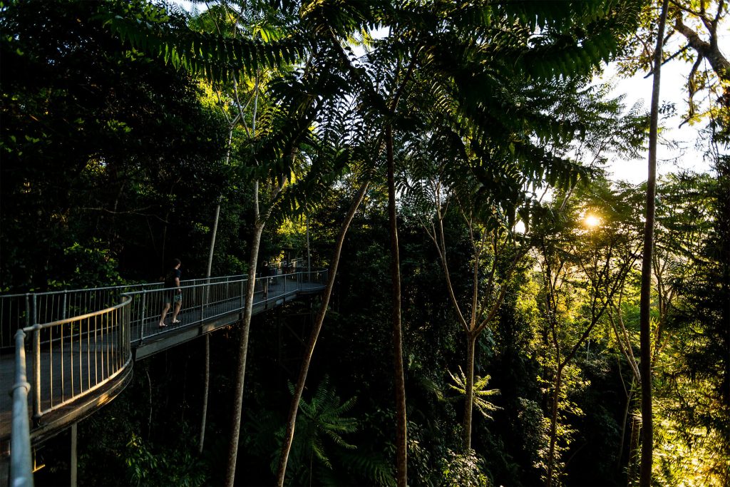 Mamu Tropical Skywalk