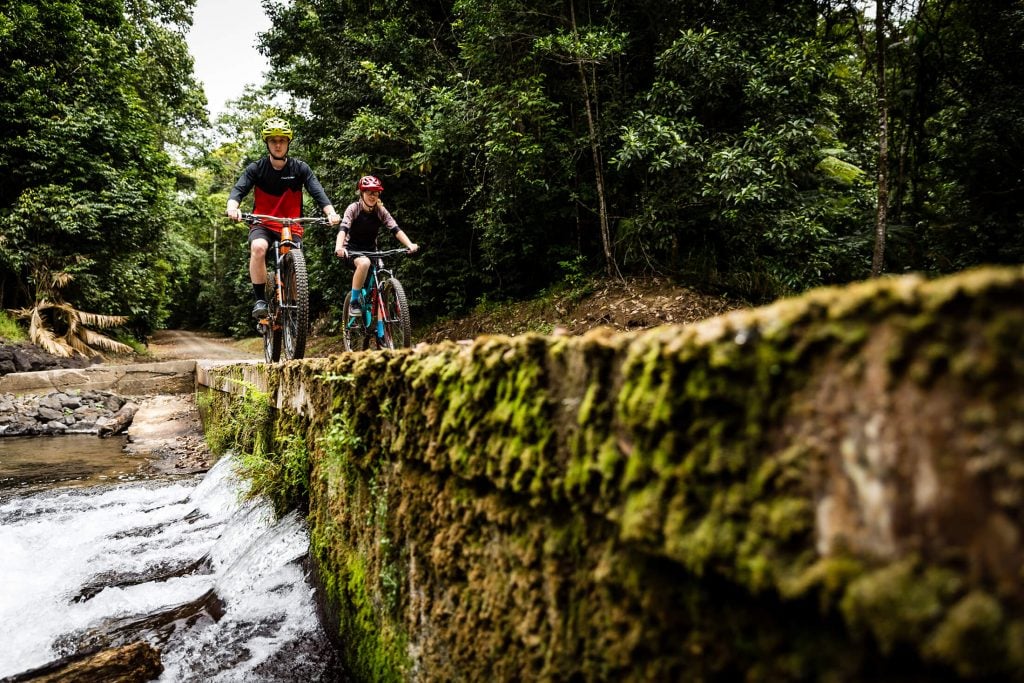 causeway mountain biking trails on k-tree road misty mountains