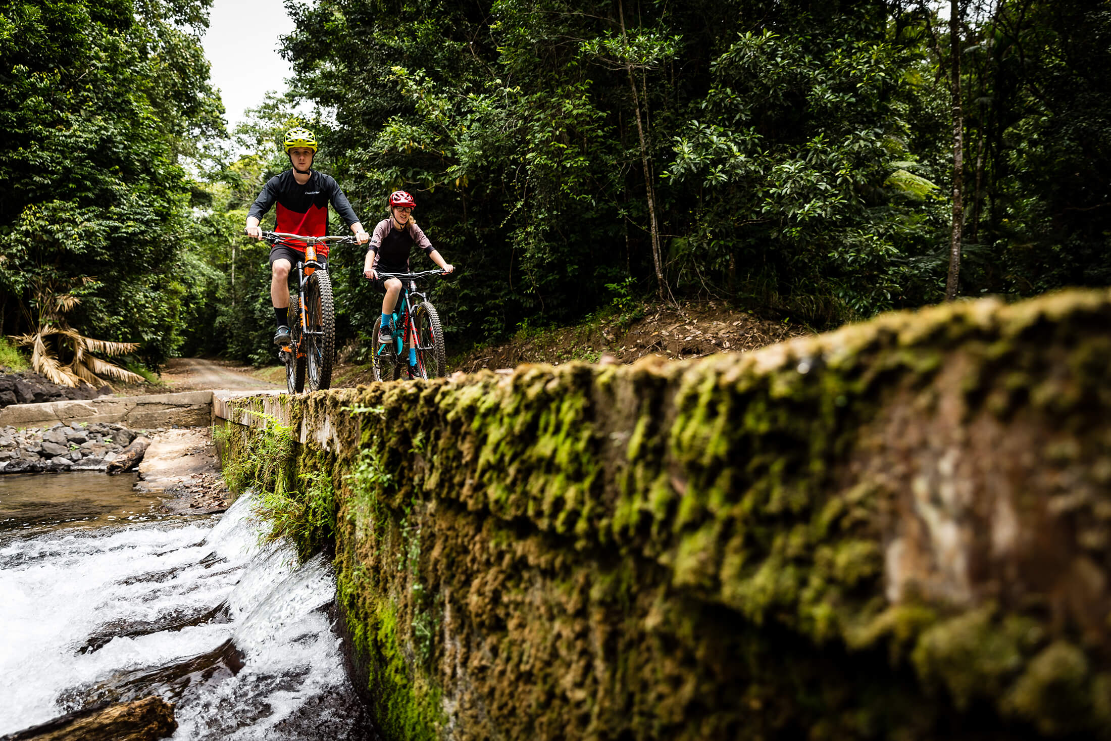 causeway mountain biking trails on k-tree road misty mountains