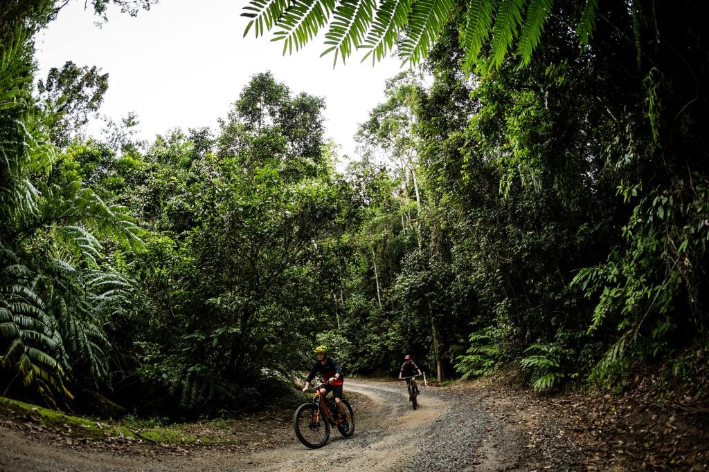 mountain biking trails on k-tree road misty mountains