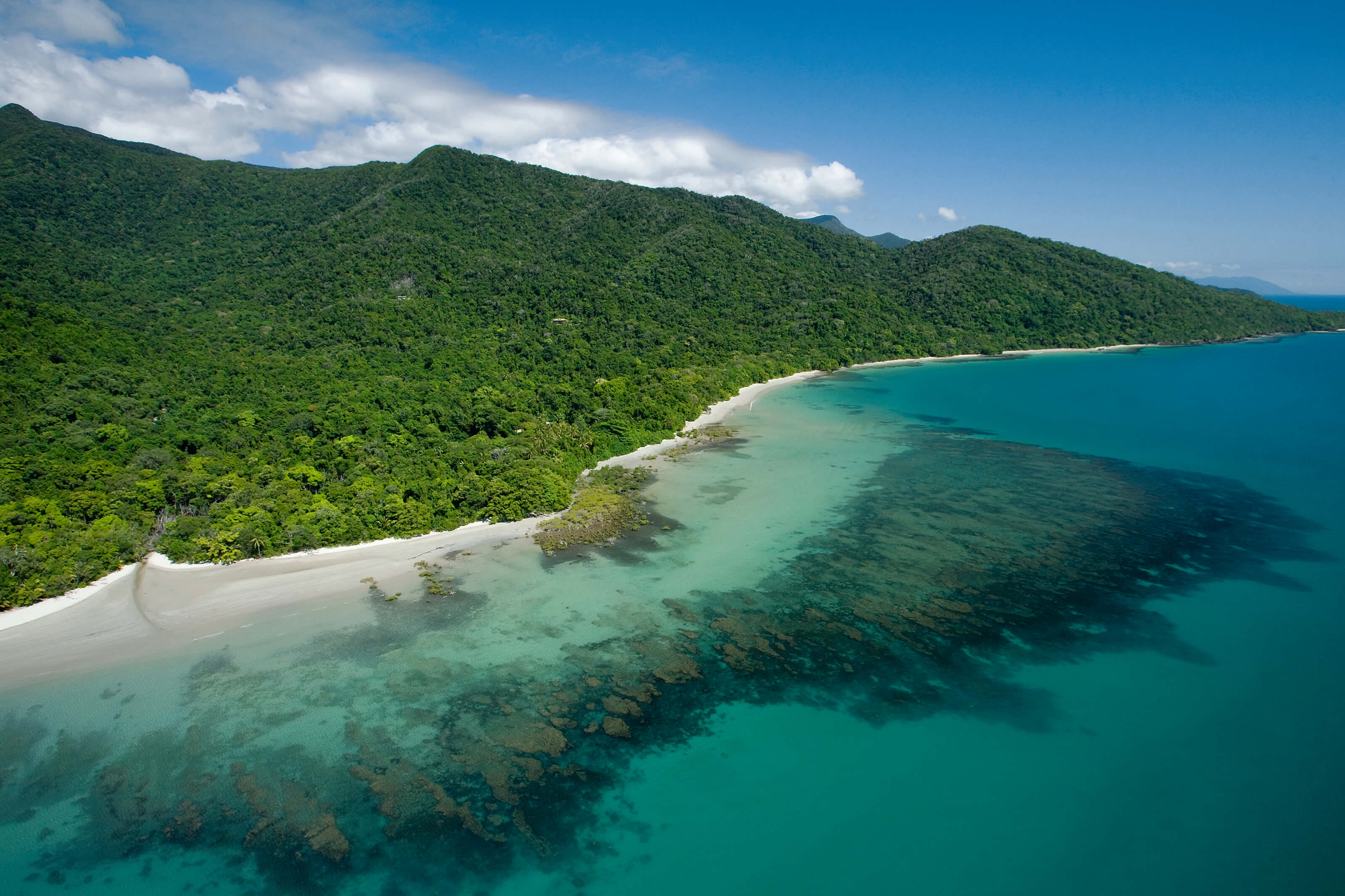 tour cape tribulation daintree