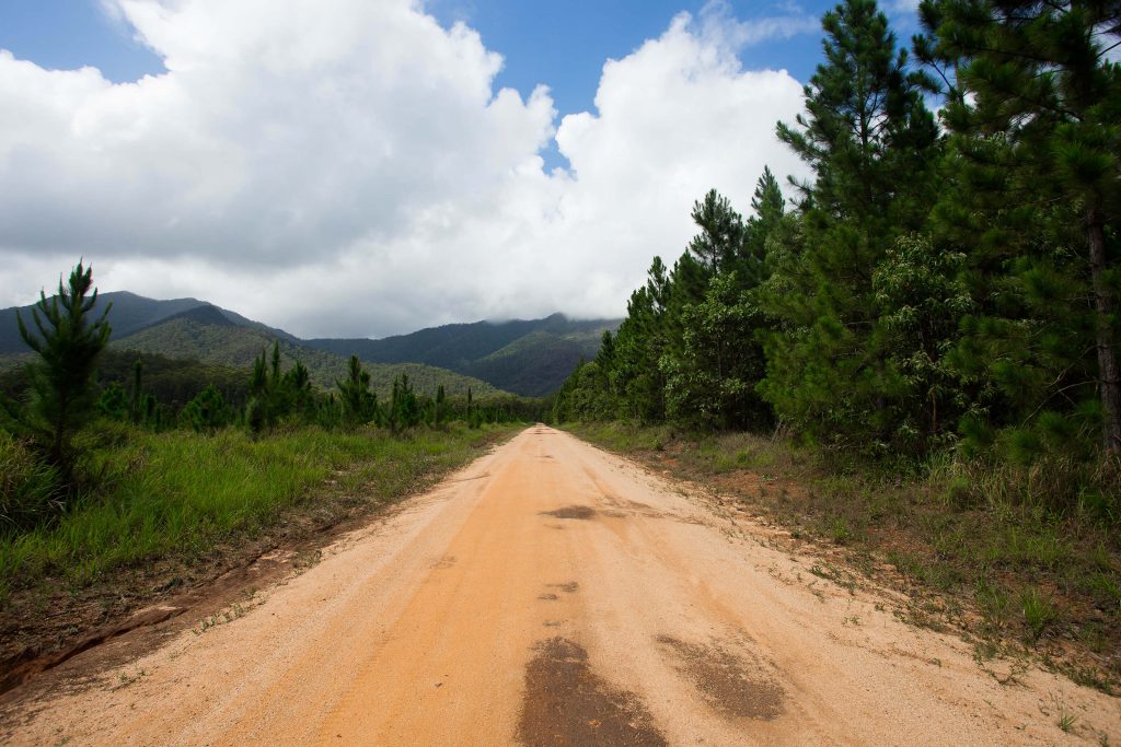 Cardwell Forest Drive