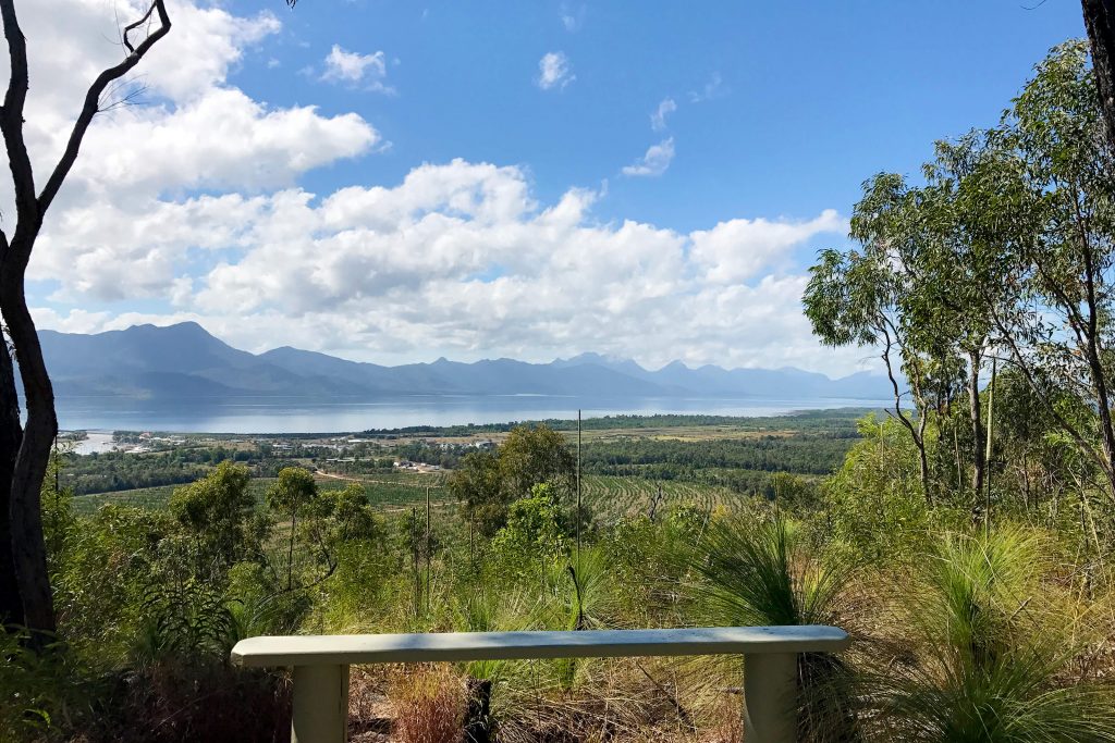 Cardwell Lookout, Forest Drive