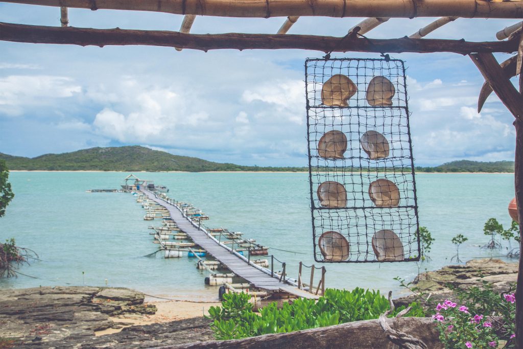 roko island