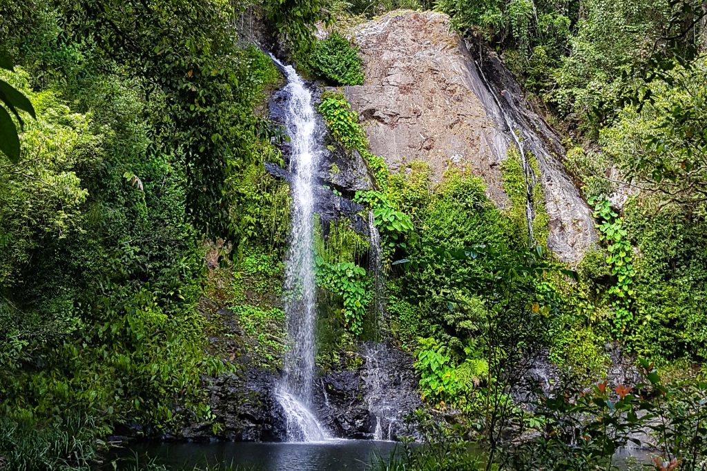 Cassowary Falls Daintree Discovery Tours