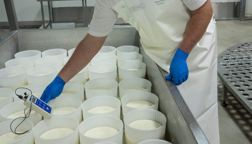 Gallo Dairyland