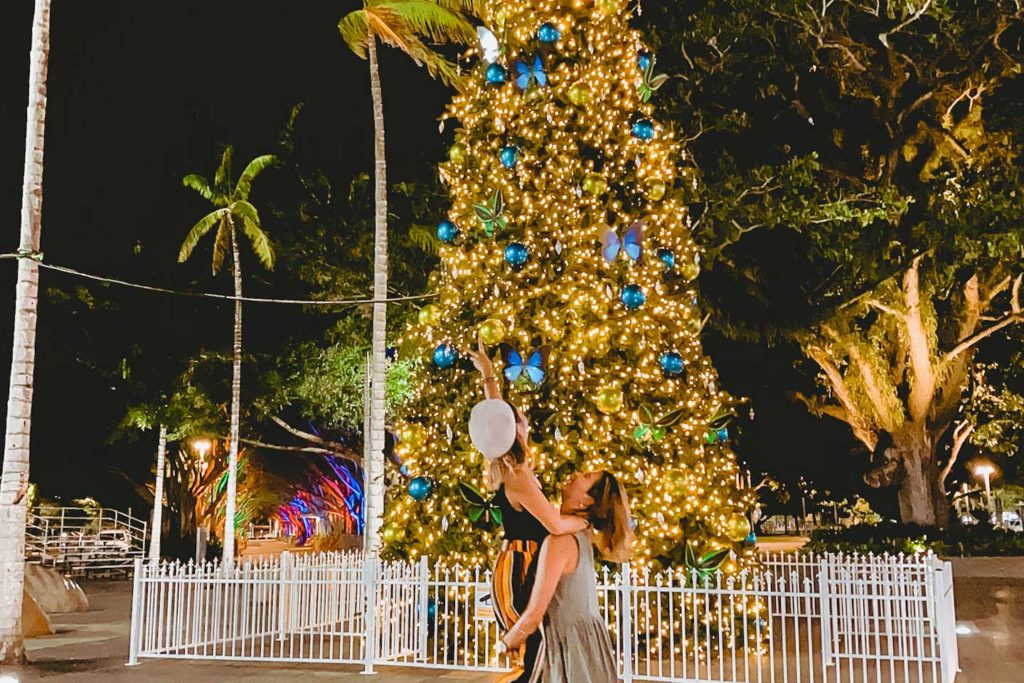 christmas tree cairns esplanade