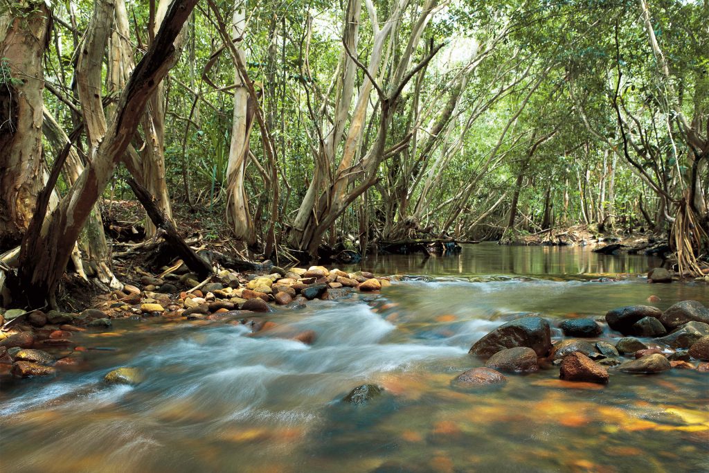 Creeks Rivers Streams Of North Queensland Cairns Great Barrier Reef