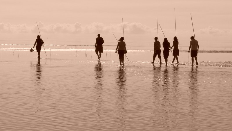 Culture Connect Half Day Aboriginal Coastal Survival Experience