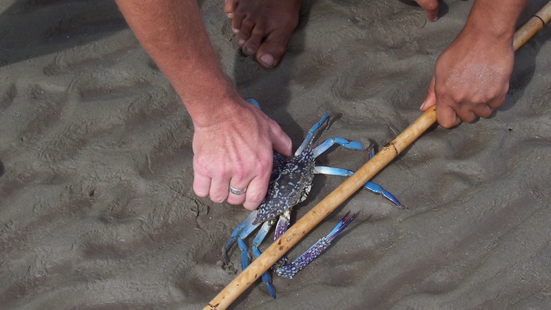Culture Connect Half Day Aboriginal Coastal Survival Experience