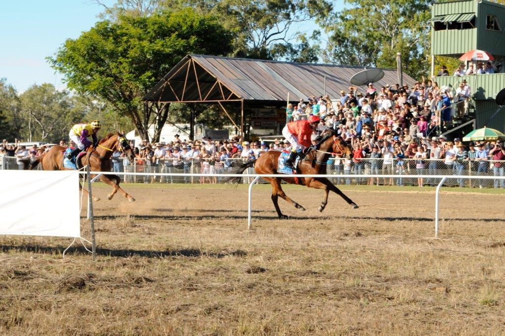 Oak Park Races Cairns & Great Barrier Reef