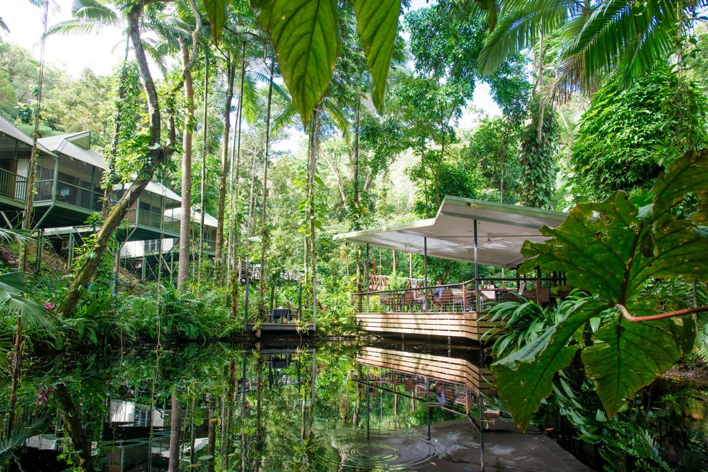 daintree eco lodge and spa