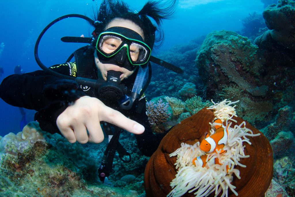 divers den great barrier reef scuba diving