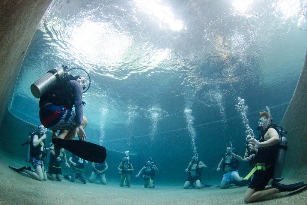 learn to scuba dive with divers den in cairns