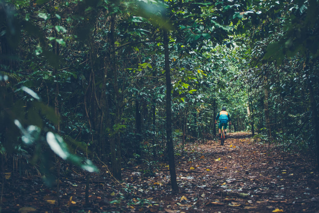 Mountain Biking Misty Mountains
