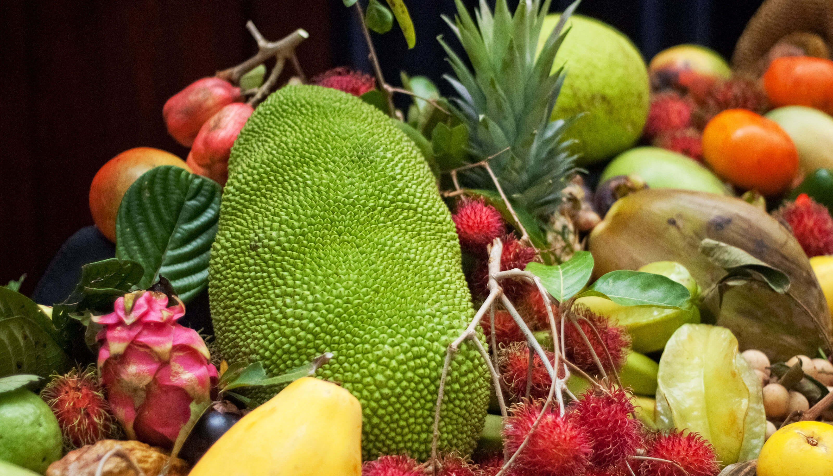 Feast of the Senses Festival